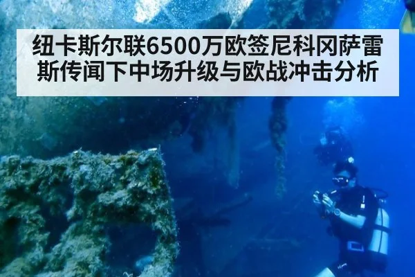 纽卡斯尔联6500万欧签尼科冈萨雷斯传闻下中场升级与欧战冲击分析